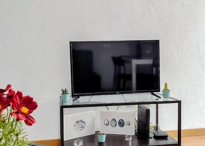 Central Apartment